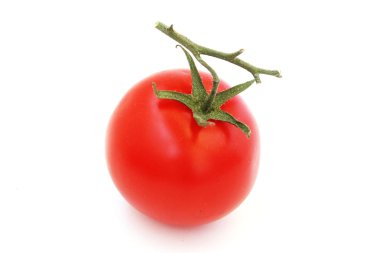 kırmızı domates dal