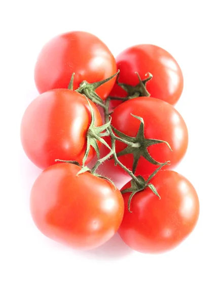 kırmızı domatesler dalda