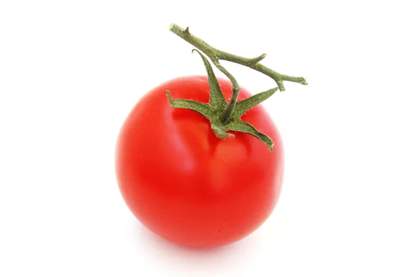 kırmızı domates dal