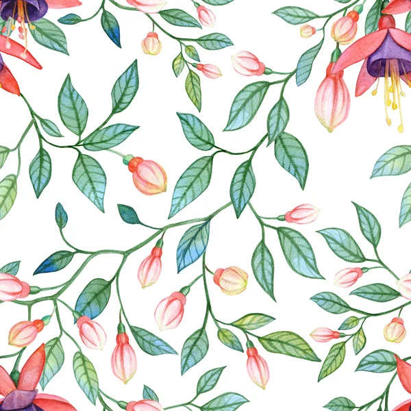 Fuchsia pattern — Stock Photo, Image