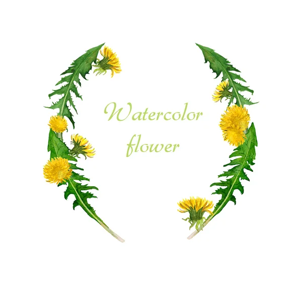 suluboya, karahindiba,