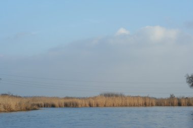 Akşam güneşi kuru sazlık ile sakin sonbahar Nehri