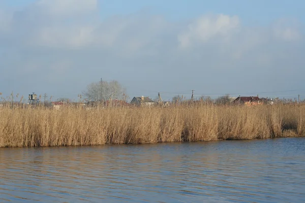 Ruhiger Herbstfluss mit trockenem Schilf in der Abendsonne — Stockfoto