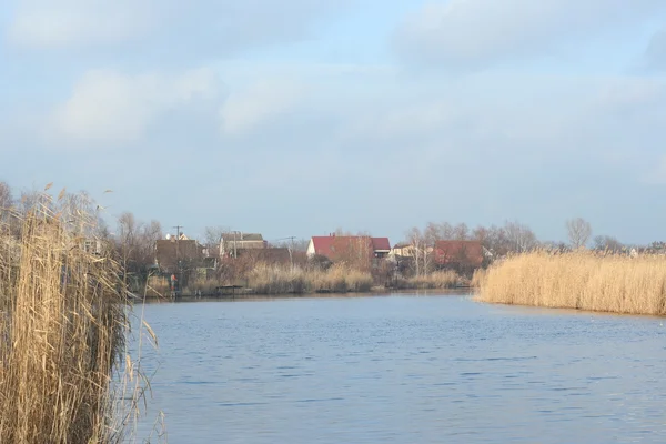 Klidný podzim řeka s suché rákosí ve večerním slunci — Stock fotografie