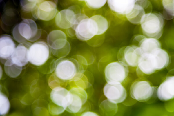 Свет Боке от солнца сквозь листья.