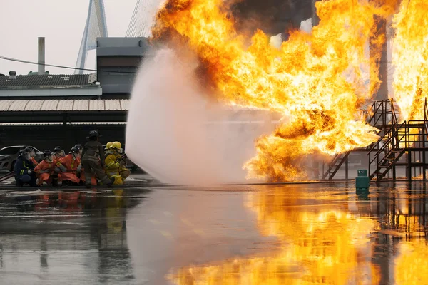 Firefighters training, The Employees Annual training Fire fighti — Stock Photo, Image