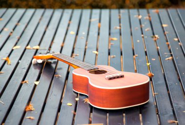 Sabah güneş ışığı altında bahçedeki ahşap masa gitarda ukulele.