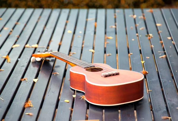 Sabah güneş ışığı altında bahçedeki ahşap masa gitarda ukulele.