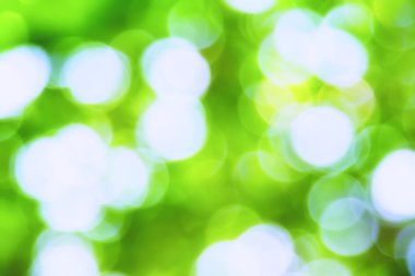 Soyut bokeh yaprakları ile Güneş'ten ışık.