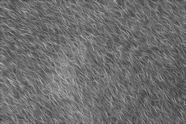 kürk soyut arka plan görünüyor o tarihlerde kürk doku.