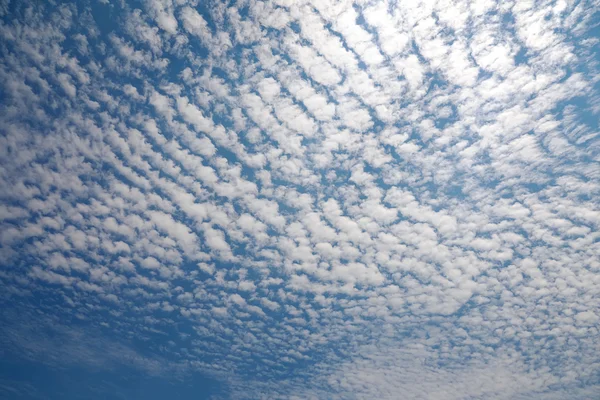 Nuvem Cirrocumulus — Fotografia de Stock