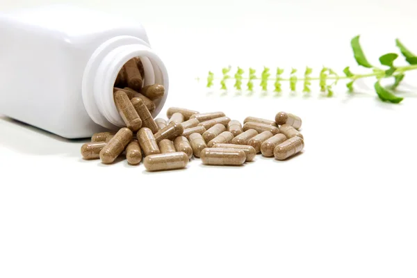 Травяная медицина, травяной целитель — стоковое фото