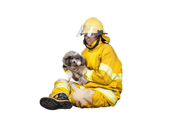 Пожарный, пожарный спас домашних животных от пожара, изолированных от — стоковое фото