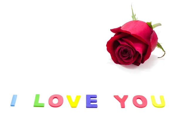 Röd ros med dagg droppar och ordet "Jag älskar dig" isolerad på vit — Stockfoto