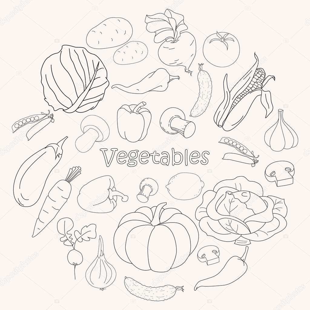 Vector collection of vegetables