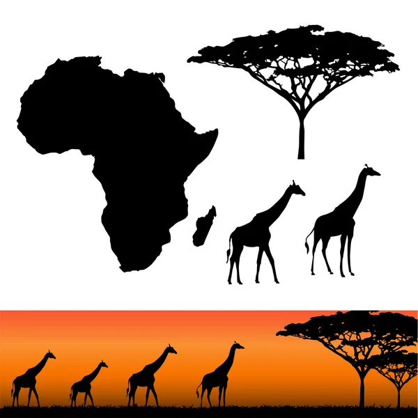 Africa și elemente Safari — Vector de stoc