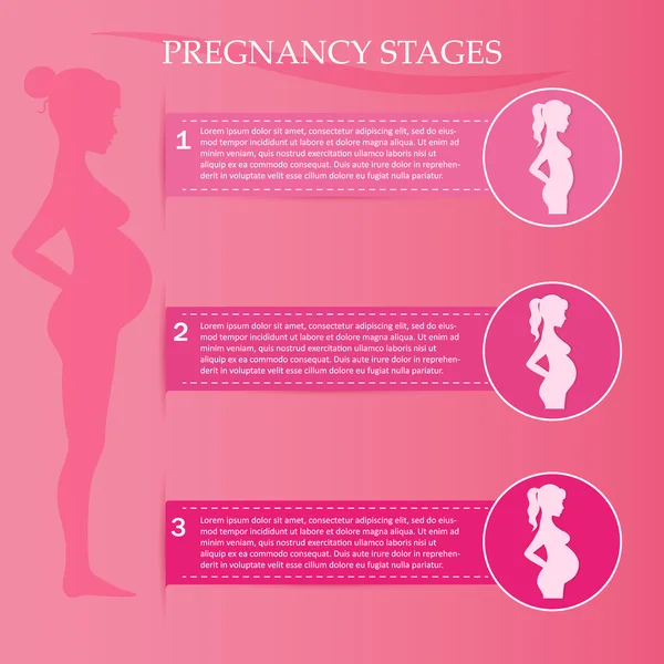 Mujer embarazada - primer, segundo y tercer trimestre — Archivo Imágenes Vectoriales