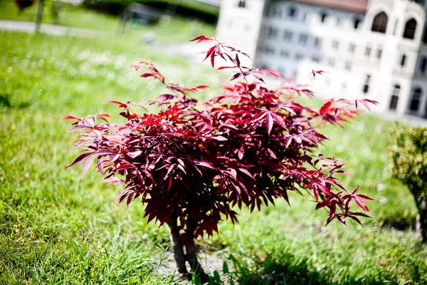 Miniaturk park en Estambul, Turquía —  Fotos de Stock