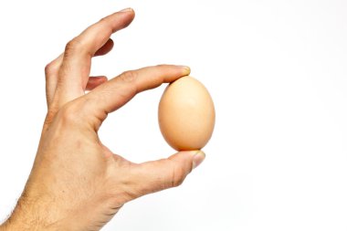 Kahverengi yumurta beyaz arkaplanda izole edilmiş