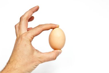 Kahverengi yumurta beyaz arkaplanda izole edilmiş