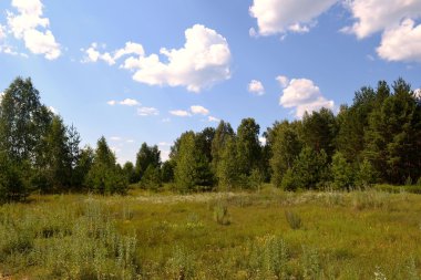 Orta Rusya'nın tipik peyzaj