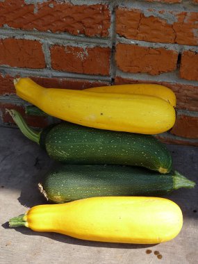 Duvara toplanan iliği