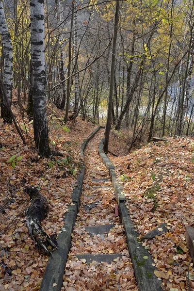 Equipped climb to the top of the hill, covered with leaves