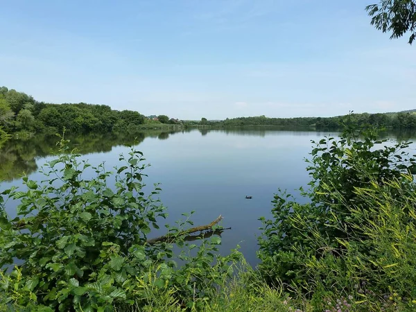 Jezero Obklopené Zeleným Lesem Klidného Letního Dne — Stock fotografie