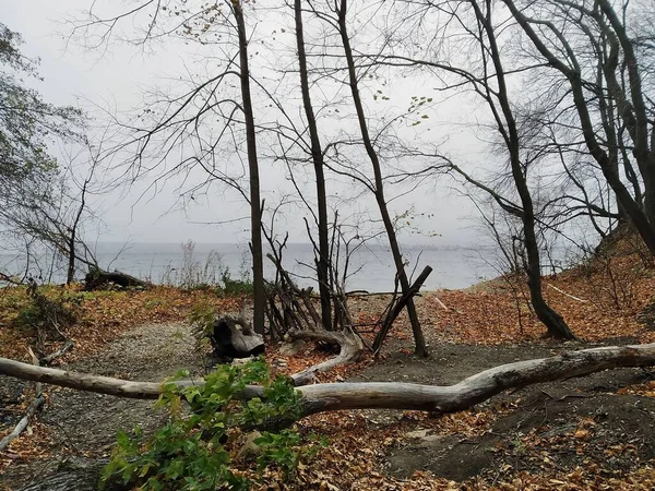 Opuszczony Dziki Brzeg Wołgi Pochmurny Jesienny Dzień — Zdjęcie stockowe