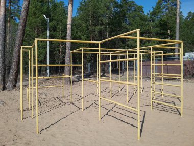 Sahilde çam ormanlarıyla çevrili çalışma alanı.