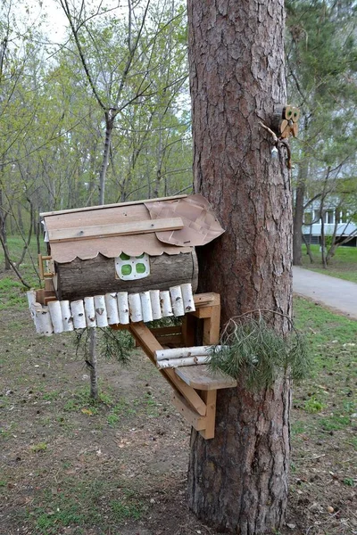 Mangeoire Oiseaux Décorative Matériaux Naturels Improvisés — Photo