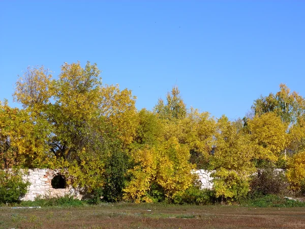 Une étude en couleurs automnales — Photo