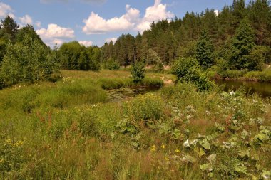 Nehrin Lunda çevreleyen güzel manzara
