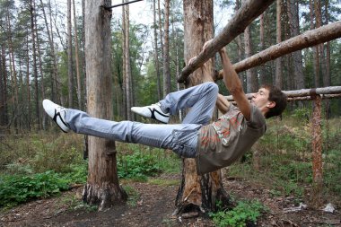 Çubuğunda ileri vis