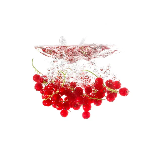 Currants splash on water, isolated on white background. — Stock Photo, Image