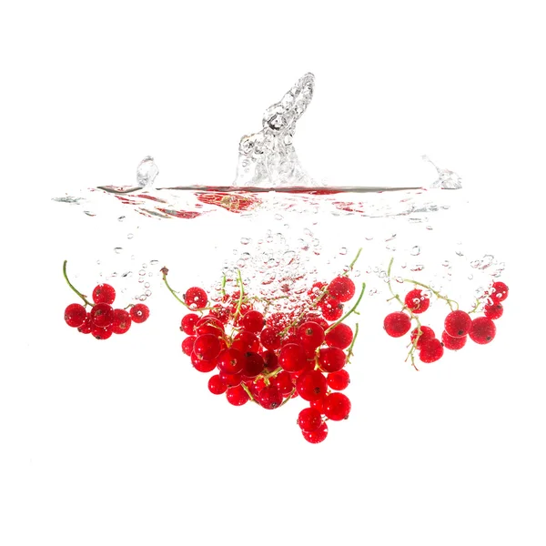 Currants splash on water, isolated on white background. — Stock Photo, Image