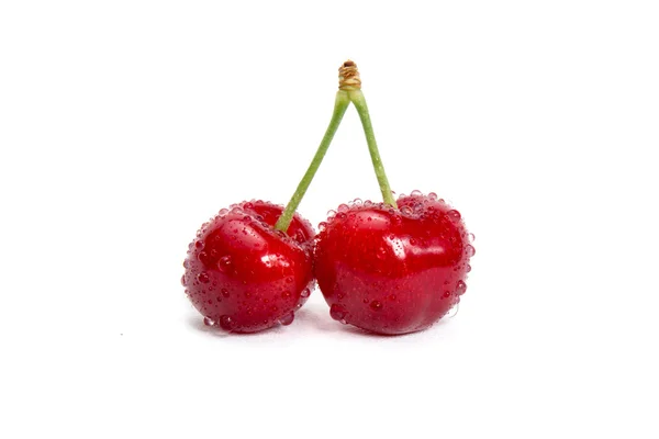 Cerejas frescas com gotas de água isoladas — Fotografia de Stock