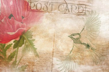 Vintage postcard background with bird and flower. clipart