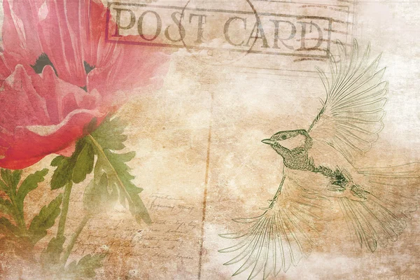 Vintage vykort bakgrund med fågel och blomma. — Stockfoto