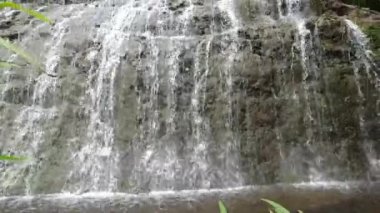 Tayland Ulusal Parkı 'ndaki çeşme.