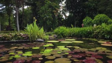 Tayland Ulusal Parkı 'ndaki çeşme.