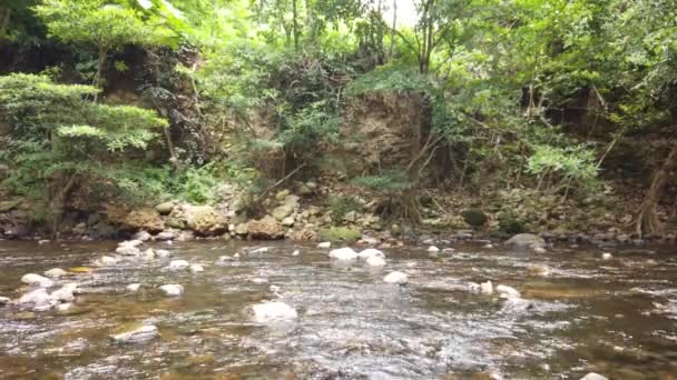 Eau douce coulant en aval au parc naturel de Nakhon Nayok, Thaïlande — Video