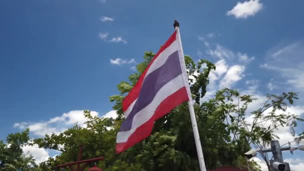 Drapeau national de Thaïlande flottant dans le vent — Video