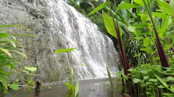 Waterfontein bij een Thai National Park — Stockvideo