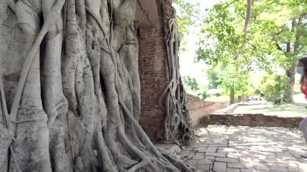 Πύλη του χρόνου στο Wat Phra Ngam Ναός Ayutthaya, Ταϊλάνδη — Αρχείο Βίντεο