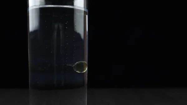 Oil bubbles in water. The science concept of water density. Oil bubbles on black background
