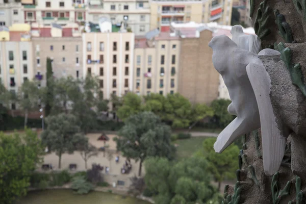 Paloma de Piedra sobre la Placa de Guadi —  Fotos de Stock