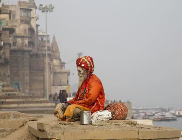 Hombre Santo, India Imagen de stock