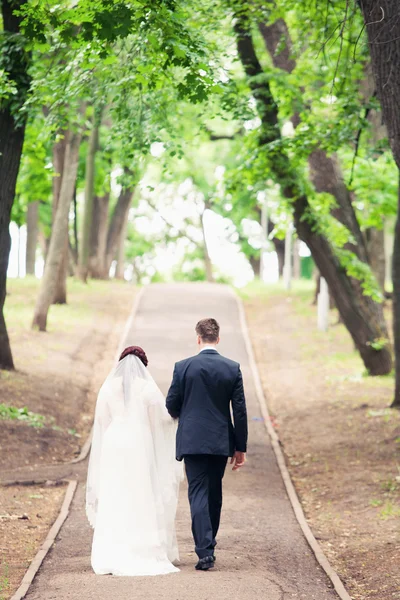 Novio y novia caminar en la madera al aire libre —  Fotos de Stock