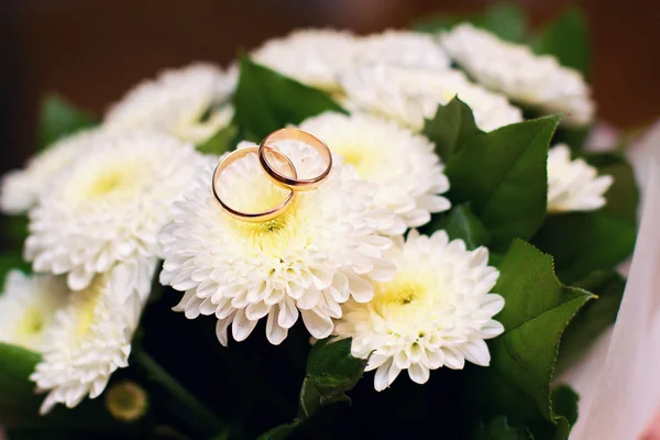 Wedding rings on camomiles — Stock Photo, Image